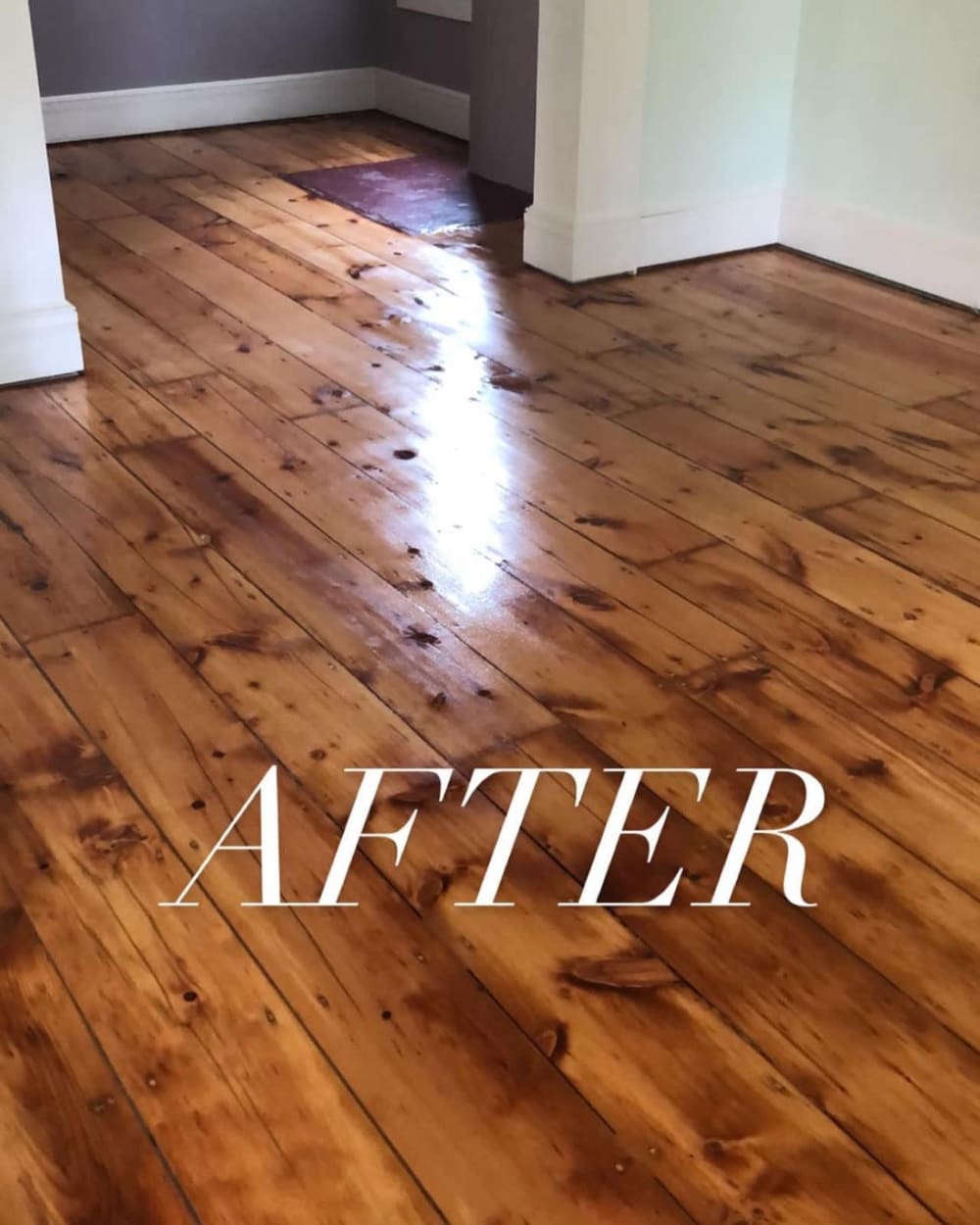 After: pine floor restored to a rich natural finish